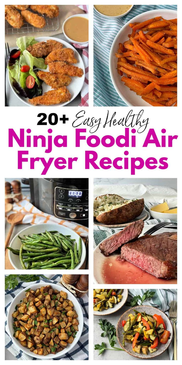 the top 20 easy healthy ninja food air fryer recipes