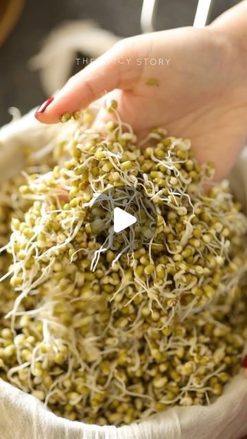 someone is sprouting alfalfa in a bowl with their thumb on it