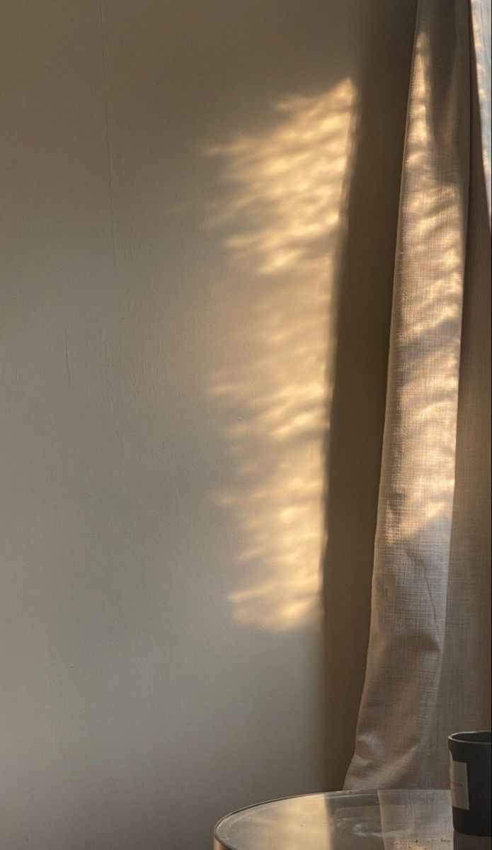 a cat sitting on top of a wooden table next to a window with the sun shining through it