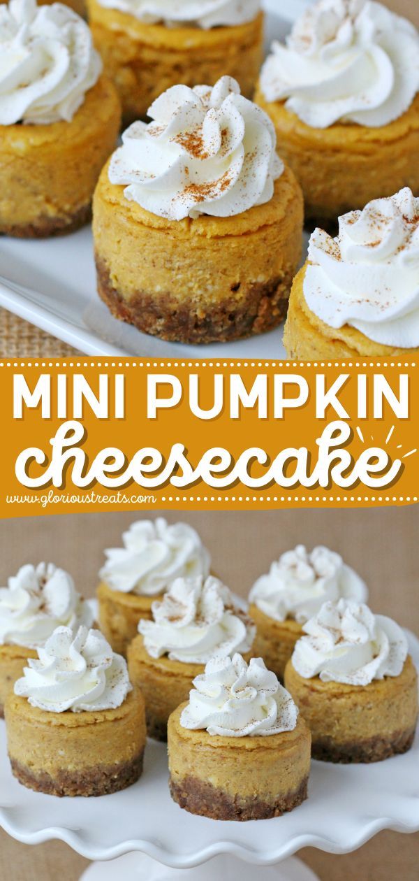 Mini Pumpkin Cheesecake, fall desserts, pumpkin recipes Individual Pumpkin Cheesecake Cups, Thanksgiving Desserts Pumpkin Cheesecake, Small Pumpkin Cheesecake Recipe, Pumpkin Cheesecake Tarts, Mini No Bake Pumpkin Cheesecake, Thanksgiving Recipes Dessert Cheesecake, Thanksgiving Small Desserts, Small Batch Pumpkin Cheesecake, Mini Sweet Potato Cheesecake