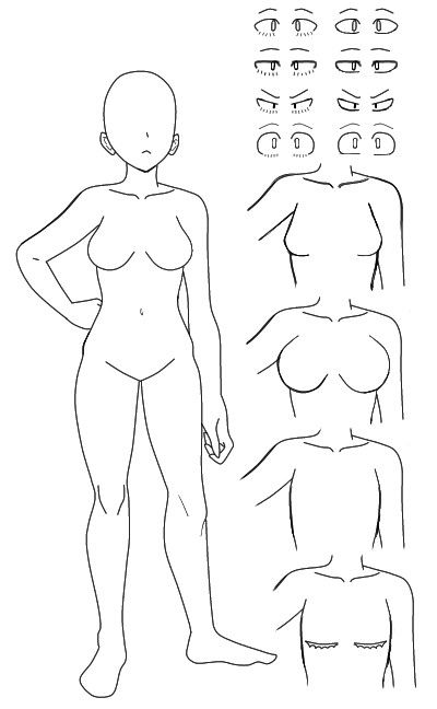 an outline drawing of a woman's body and the shape of her torso, with several