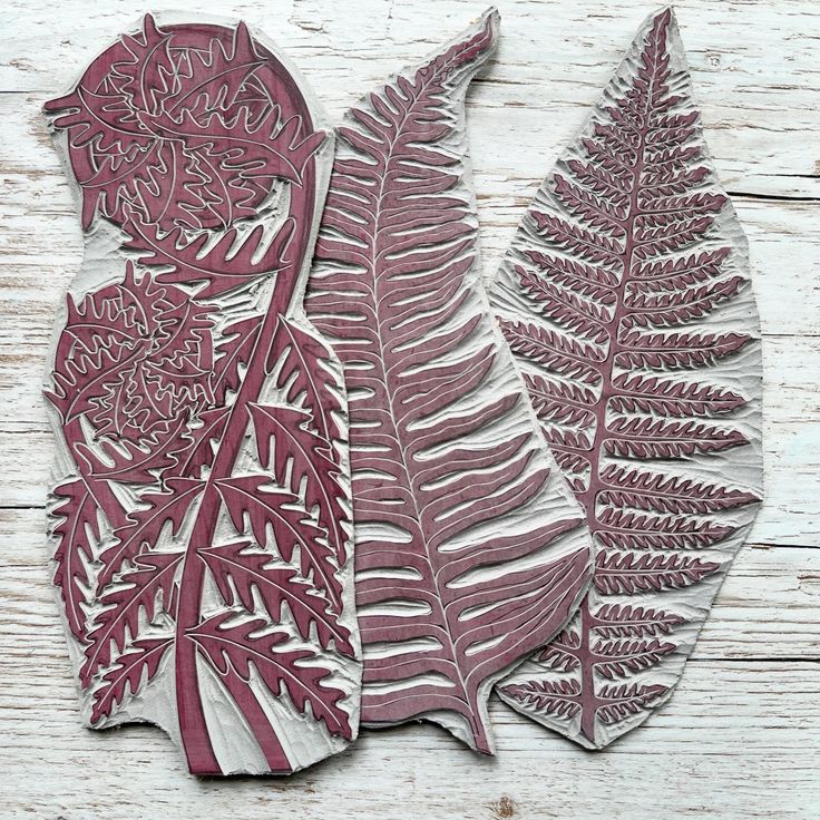 three different types of leaves on a white wooden surface, one is red and the other is green