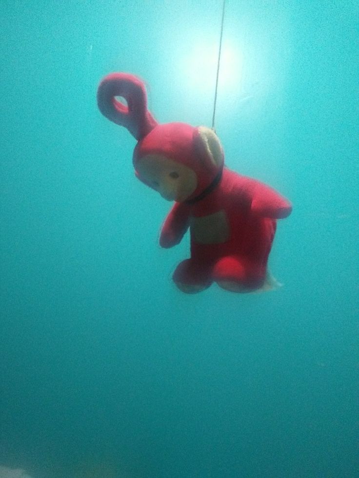 a teddy bear floating in the water with a light on it's back end