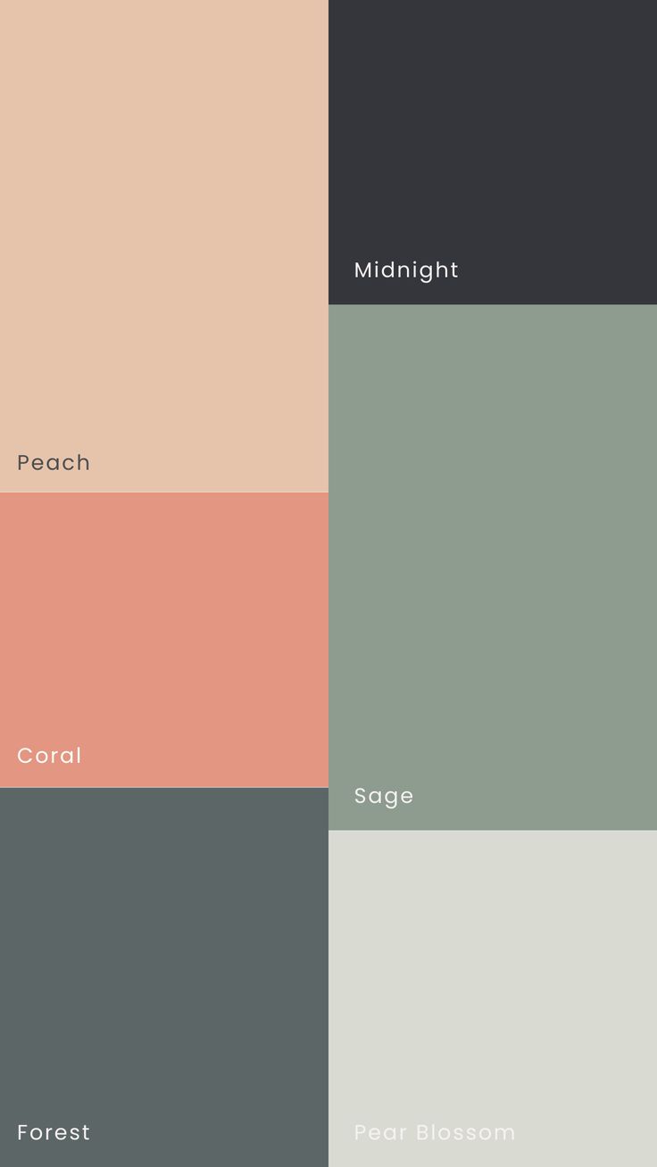 Alt Text: A moodboard featuring a harmonious sage and coral color palette. The palette includes midnight green, dark forest green, sage, pale green, coral, and peach. These colors are arranged in a stylish and visually appealing layout, perfect for small business branding or luxury weddings. The combination of deep and soft hues creates a balanced and elegant aesthetic. The moodboard showcases color swatches and design elements that highlight the versatility and beauty of this palette. Pale Green Color Palette, June Color Palette, Sage Colour Palette, Peach Colour Palette, Colour Palette Wedding, Sage Green Color Palette, Coral Color Palette, Sage Color Palette, Coral Colour Palette