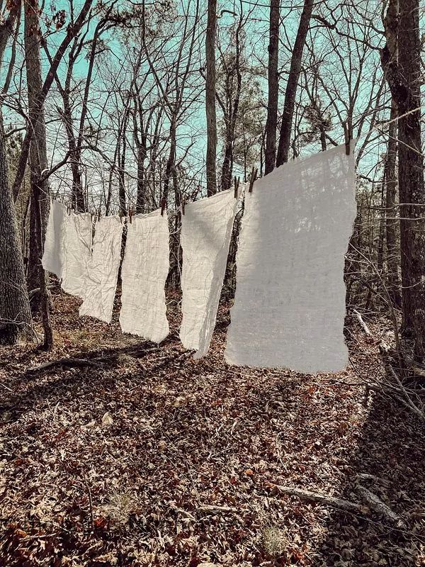 three white cloths hanging from trees in the woods with leaves on the ground around them