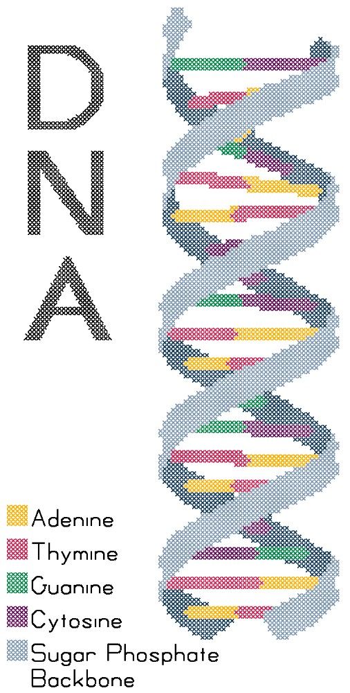 a cross stitch pattern with the words dnja and an image of a spiral