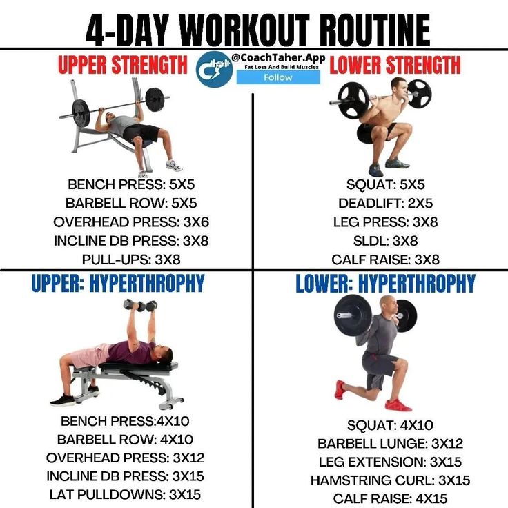 Lean Muscle Workout, Dumbbell Workout Routine, Lower Workout, Free Weight Workout, Full Body Workout Plan, Workout Gym Routine, Bodybuilding Program, Bodybuilding Workouts Routines, Best Workout Routine