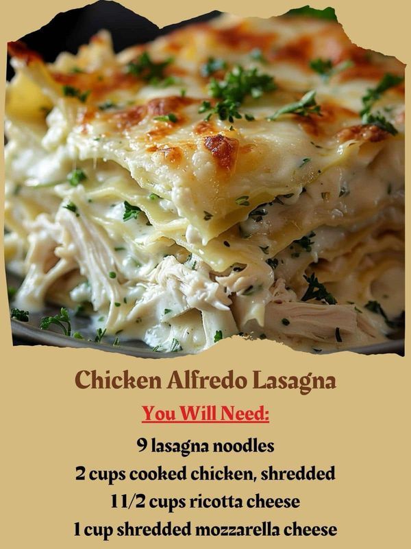 chicken alfredo lasagna you will need