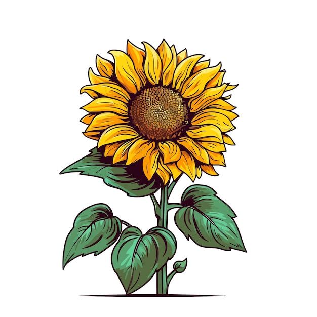 a drawing of a sunflower with green leaves on the bottom and yellow petals on the top