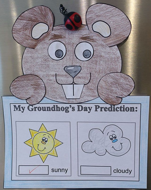 a groundhog's day poster with a ladybug on it