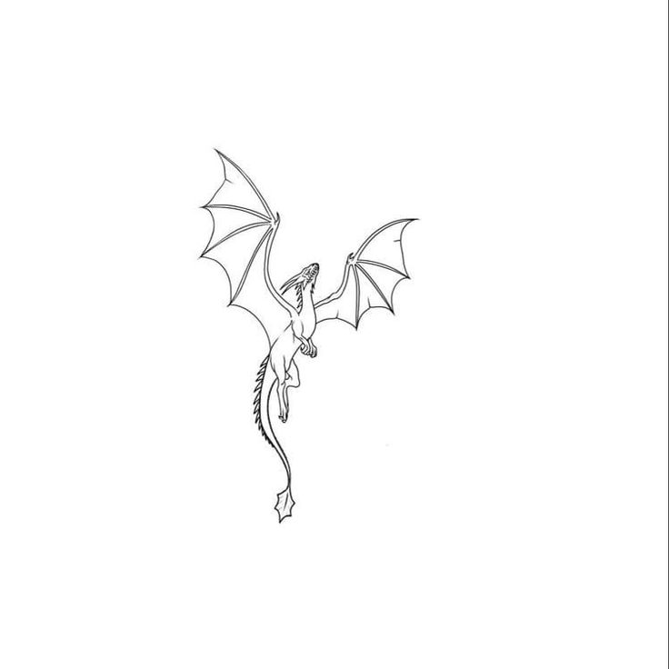 a black and white drawing of a dragon flying in the air with its wings spread