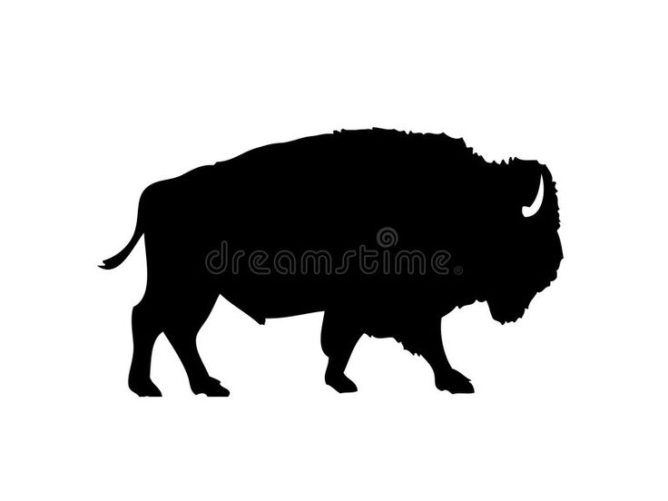 the silhouette of a bison on a white background royalty images and clippings are available for