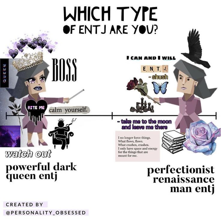 Entj 8w7, Entj Female, Entj Quotes, Entj Core, Entj Art, Entj Memes, Entj Aesthetic, Entj Women, Entj Mbti