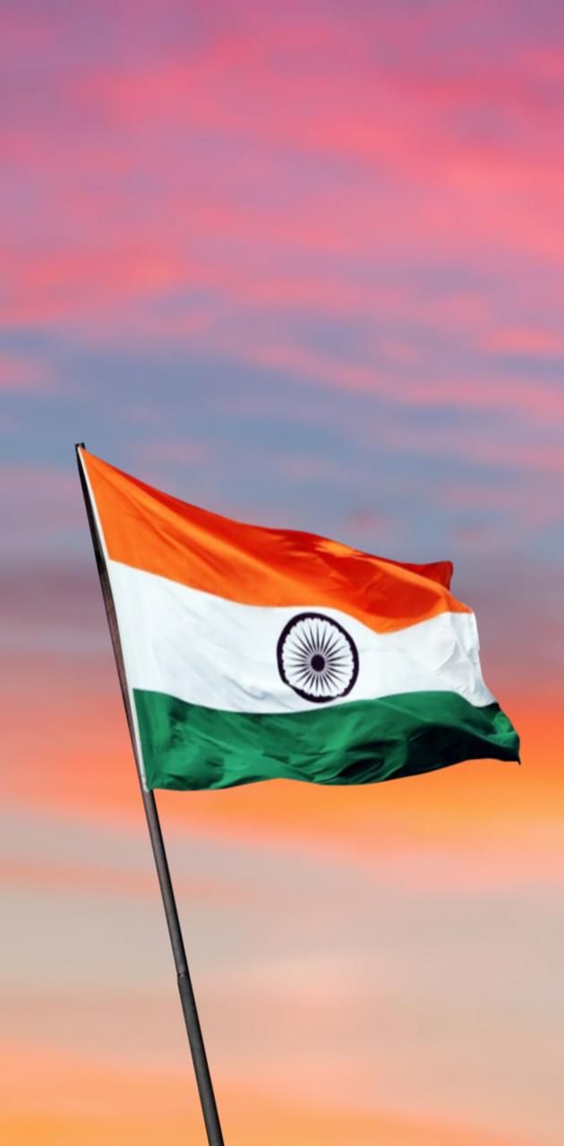 Indian Flag Pic, Instagram Shayari, Patriotic Wallpaper, 15 August Photo, August Wallpaper, Indian Flag Images, Indian Flag Wallpaper, Indian Independence Day, Indian Theme