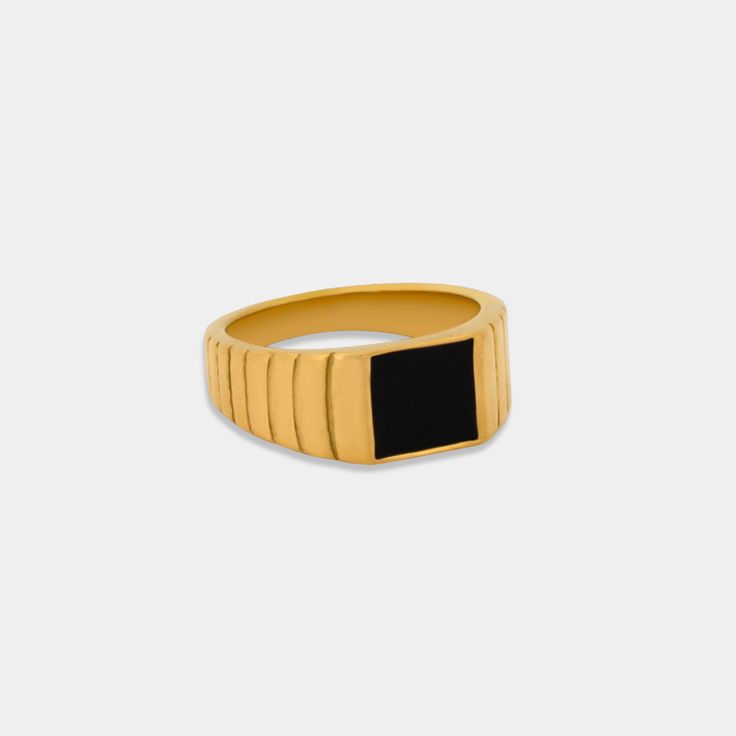 Our Naomi signet ring features a black accent in the center, a perfect color combo! Made in stainless steel so it's waterproof & tarnish free! 18k Heavy gold plating over stainless steel Waterproof & Tarnish Resistant Types Of Gold, Square Face, Black Accents, Color Combo, Black Enamel, Cleaning Jewelry, Signet Ring, Gold Plating, Makeup Remover