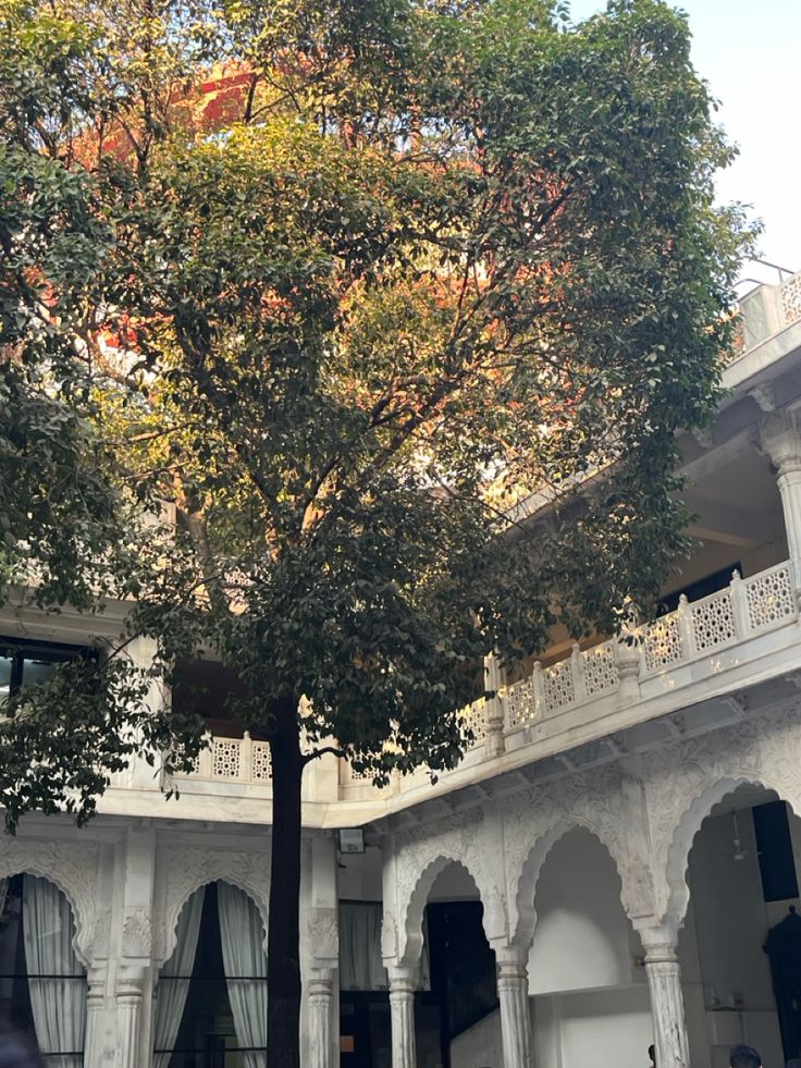 a large tree is in the middle of a courtyard with arches and balconies