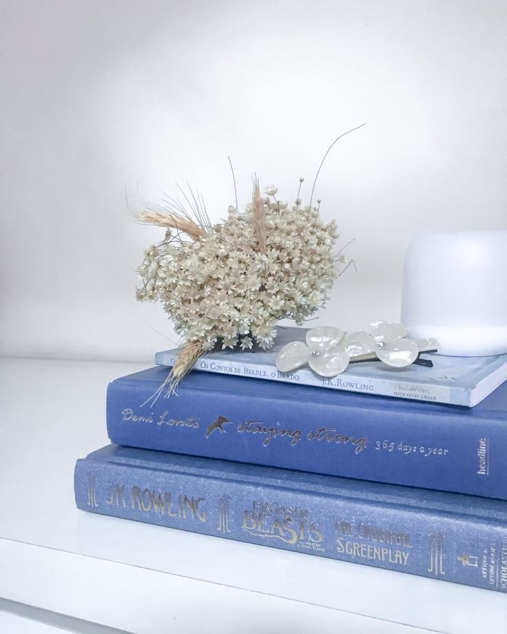 two blue books stacked on top of each other with a white hat sitting on top of them