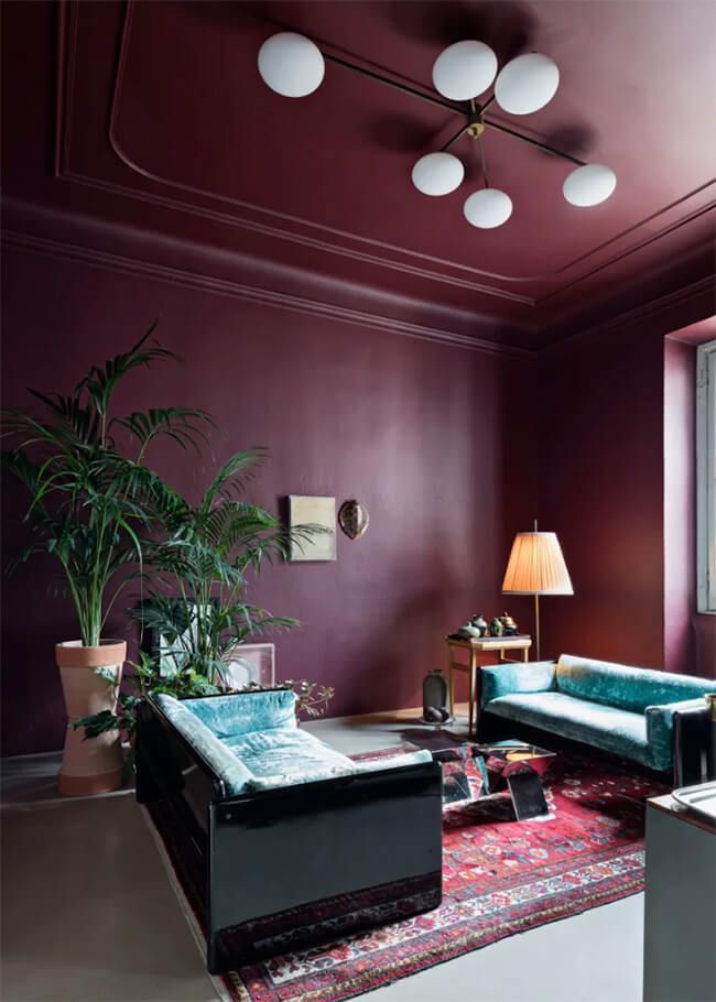 a living room filled with furniture and a potted plant on top of a rug