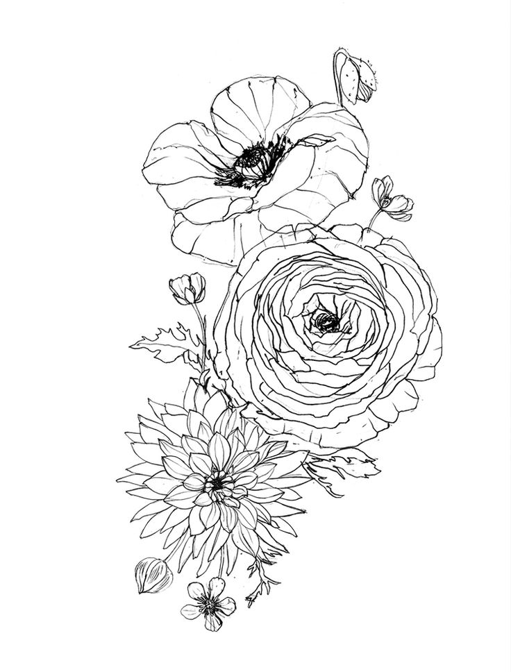 an ink drawing of flowers on a white background