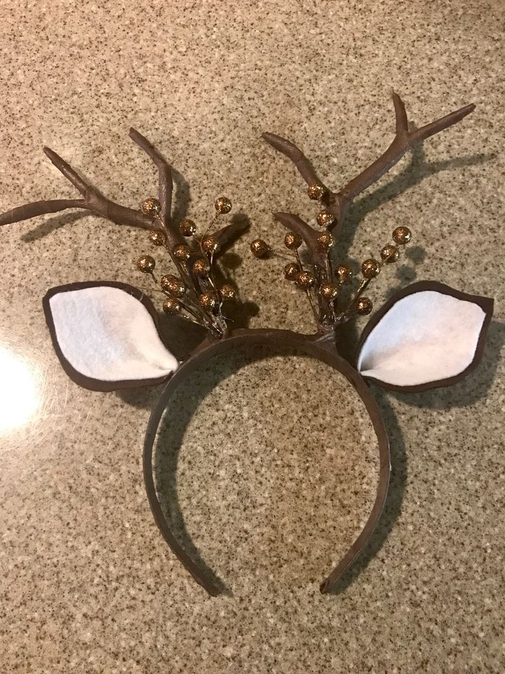 a close up of a deer head with antlers on it