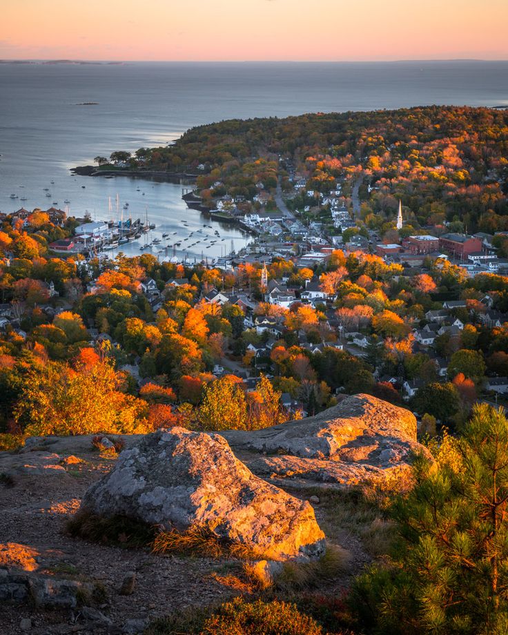 an aerial view of a city and the ocean in fall colors, with boats on the water