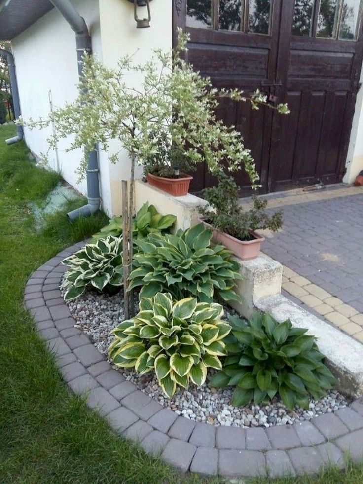 some plants are in pots on the side of a building and there is a driveway