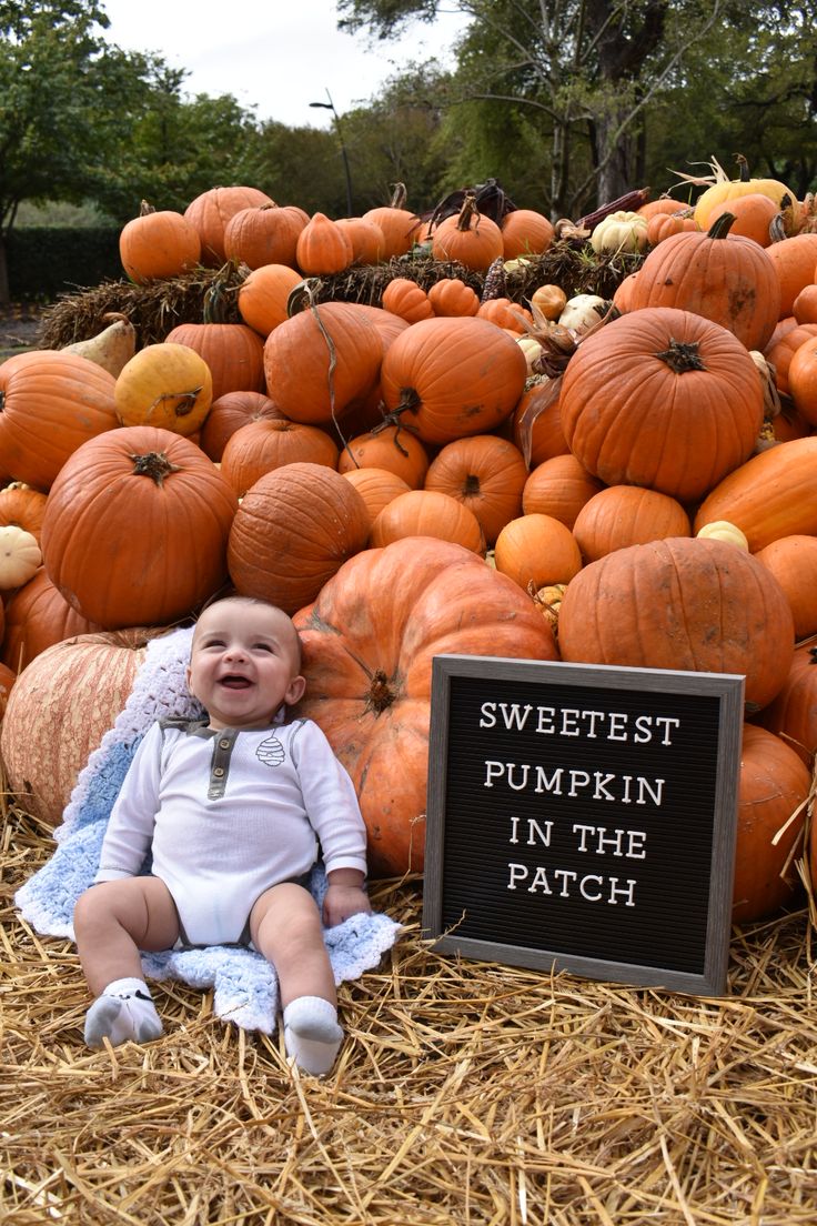 a baby sitting in front of a pile of pumpkins with a sign that says sweetest pumpkin in the patch