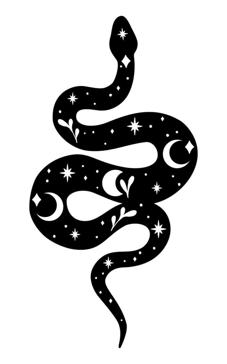 a black and white snake with stars on it