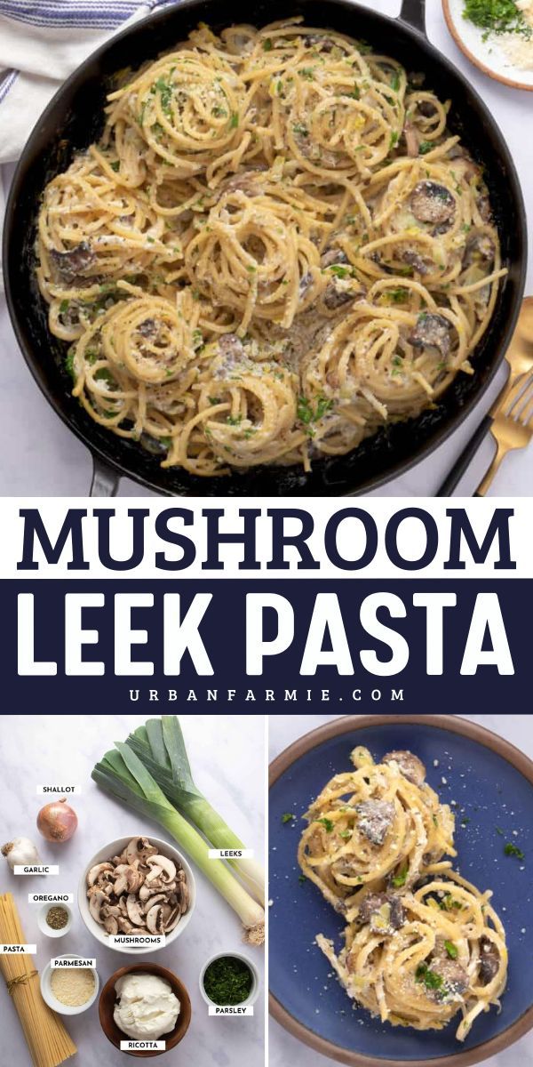 Indulge in this Mushroom Leek Pasta — a perfect pick for winter dishes, best comfort food recipes, and warm dinner ideas. This easy pasta recipe is creamy, light, and comes together in one pot with savory mushrooms, leeks, and a touch of ricotta. Ready in just 40 minutes for a satisfying meal! Mushroom Leek Pasta, Warm Dinner Ideas, Ricotta Mushroom, Best Comfort Food Recipes, Mushroom Leek, Leek Pasta, Easy Pasta Recipe, Vegetarian Pasta Dishes, Leek Recipes