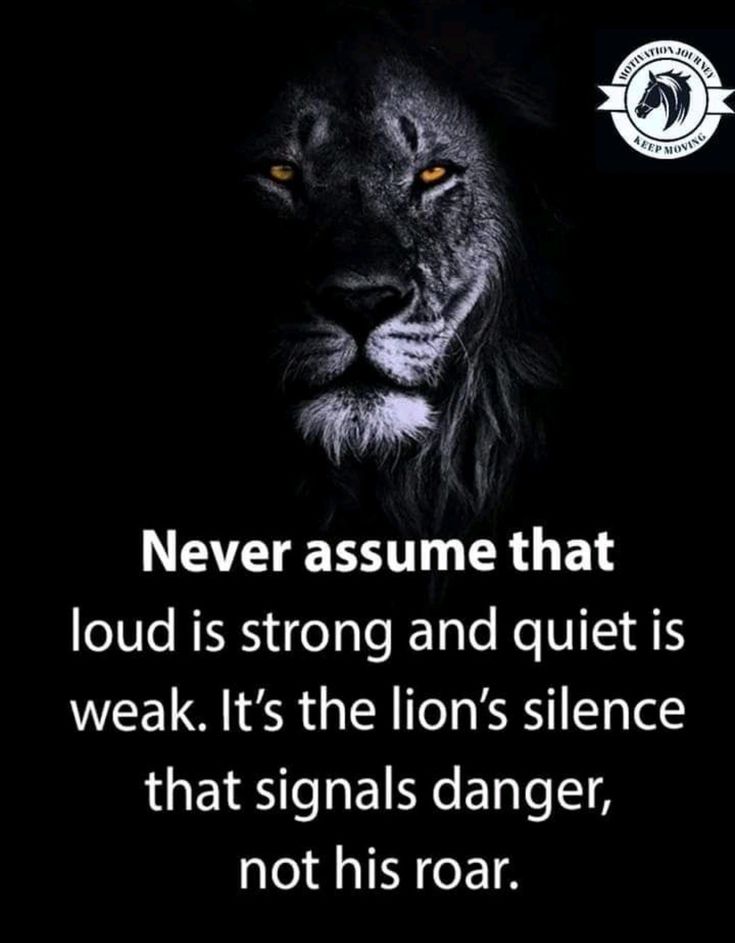 a lion with the quote never assume that loud is strong and quiet