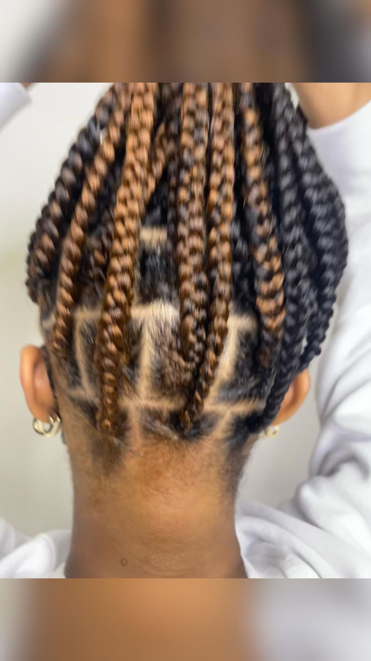 Brown Hair Braids, Braids Highlights, Box Braids Protective Styles, Box Braid Hairstyle, Braids Protective Styles, Peekaboo Braids, Hairstyle For Black Women, Peekaboo Hair Colors, Peekaboo Hair