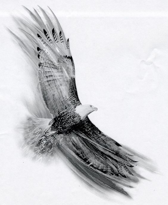 a black and white drawing of a bird with the words, god is the wind beneath our wings