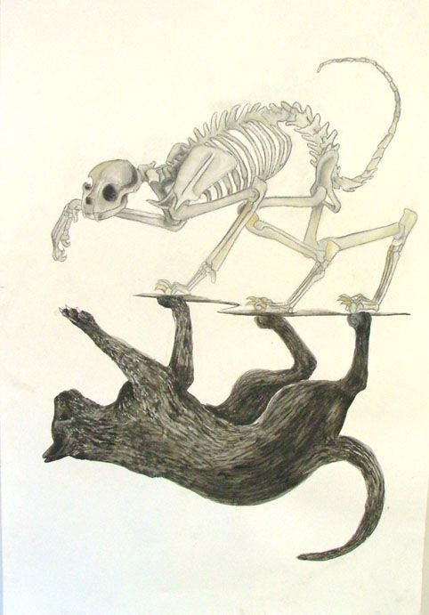 a drawing of a skeleton sitting on top of a tree branch holding a glass plate