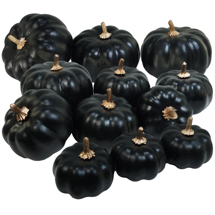 twelve black pumpkins are arranged on a white background