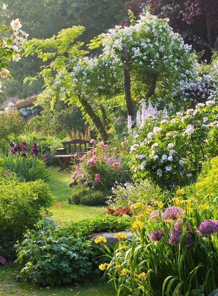 a garden filled with lots of different types of flowers