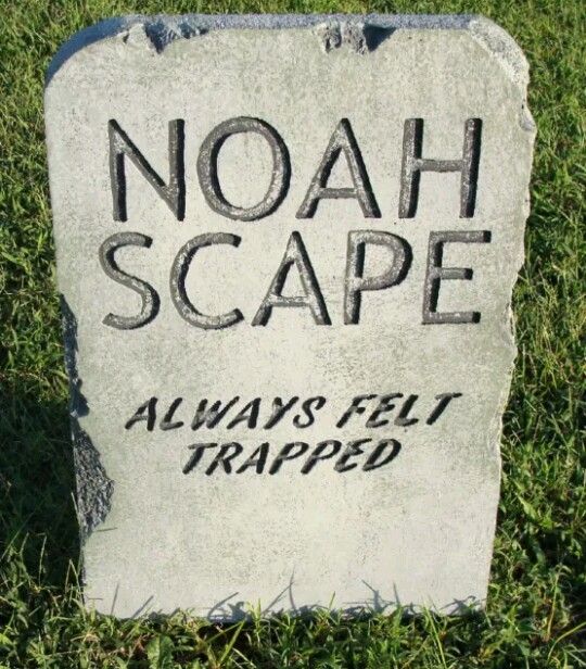 a stone with the words noah scape on it in black ink, sitting in grass