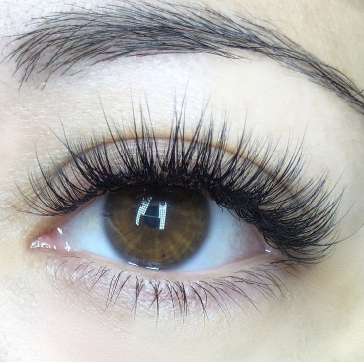 Russian Eyelashes, Wispy Eyelashes, Cat Eye Lash, Lash Extensions Styles, Perfect Eyelashes, Long Eyelashes, Eyelash Extentions, Beauty Games, Lash Extension