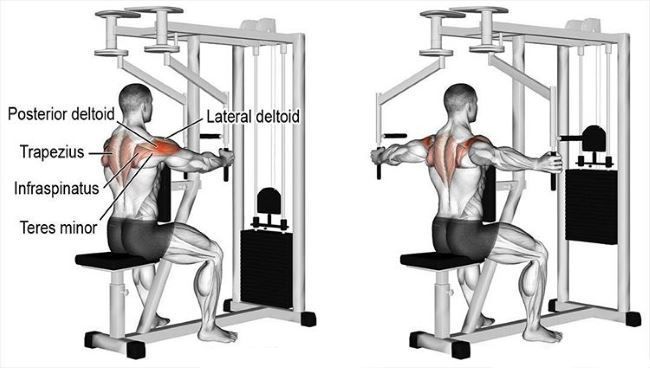 an image of a man doing squats on a bench in the crossfit machine