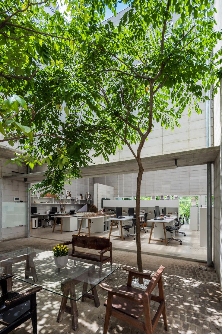 an office building with tables, chairs and a tree in the middle of the room