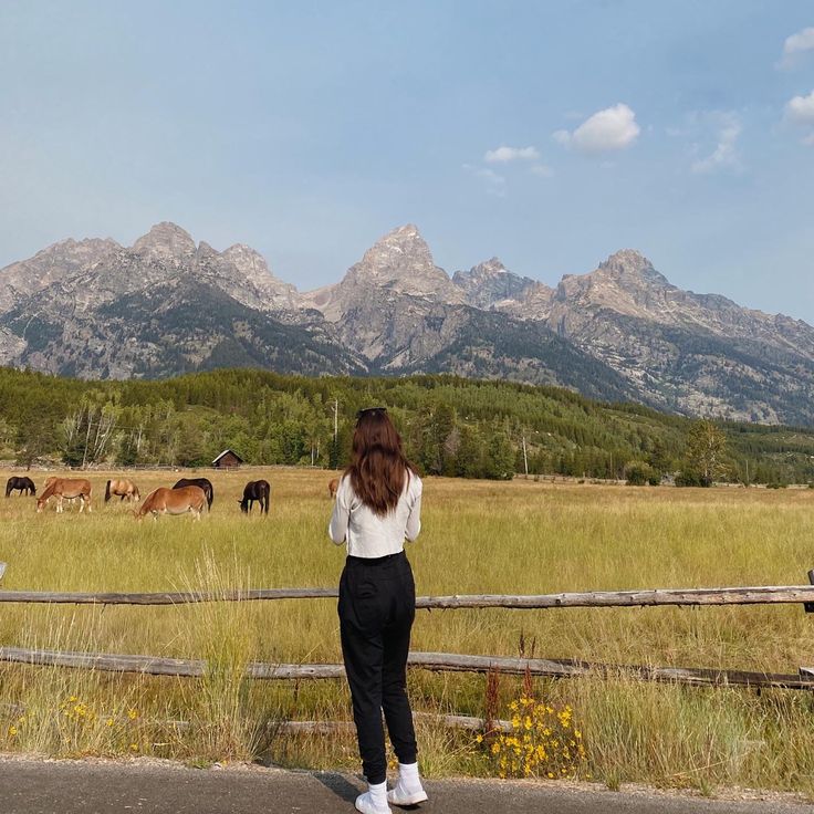 tetons national park horses travel pic inspo inspiration camping crunchy granola girl vsco picture Wyoming Summer Aesthetic, Wyoming Picture Ideas, Jackson Wyoming Aesthetic, Wyoming Ranch Aesthetic, Jackson Hole Wyoming Aesthetic, Yellowstone National Park Aesthetic, Yellowstone Aesthetic, Wyoming Aesthetic, Wyoming Summer