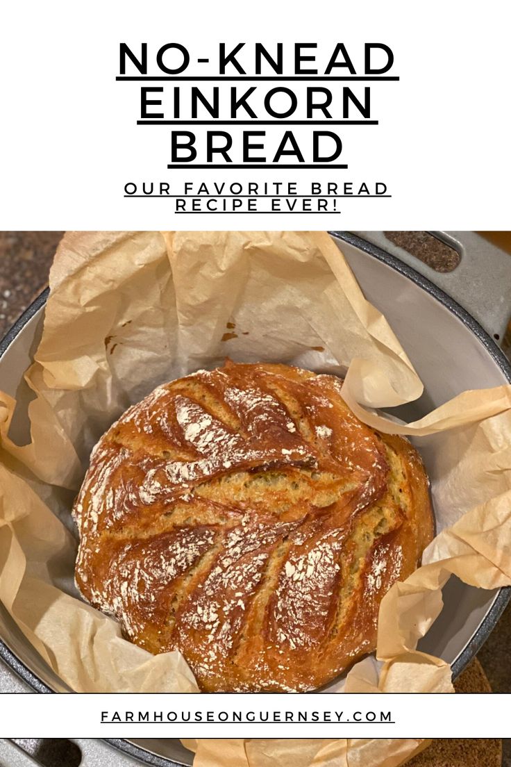 a loaf of bread sitting on top of a pan