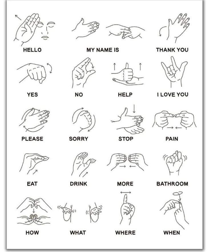 Sight Language Alphabet, Basic Sign Language For Beginners, Asl For Beginners, Asl Basics, Basic Asl, Quinceanera Songs, Asl Songs, Learning Sign Language, Makaton Signs