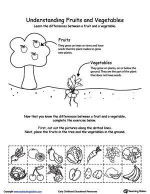 an image of fruits and vegetables worksheet