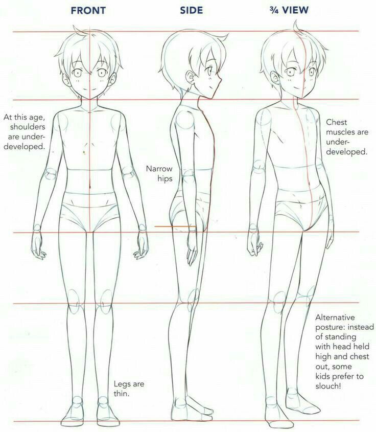 how to draw an anime character from the side view and front view step by step