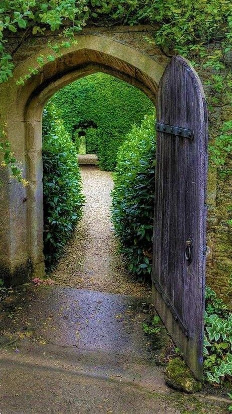 an open door leading into a lush green tunnel with ivy growing on the walls and doors