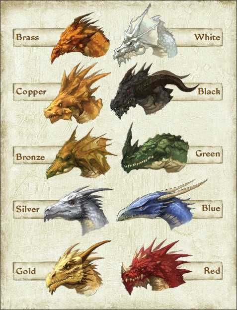 the different types of dragon heads are shown in this image, and there is also an info