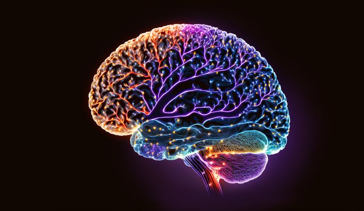 Rehabilitation Through Stimulation: Exploring Noninvasive Brain Stimulation for Substance Use Disorders @psychiatrictimes @TheBrainDriver @CNBC #substanceabuse #addiction #tDCS #BrainStimulation https://www.psychiatrictimes.com/view/rehabilitation-through-stimulation-exploring-noninvasive-brain-stimulation-for-substance-use-disorders Brain Imaging, Ocd Symptoms, Linear Relationships, Brain Size, Brain Energy, Brain Images, Pet Scan, Sensory Motor, Brain Stimulation