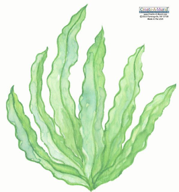 a drawing of green seaweed on a white background