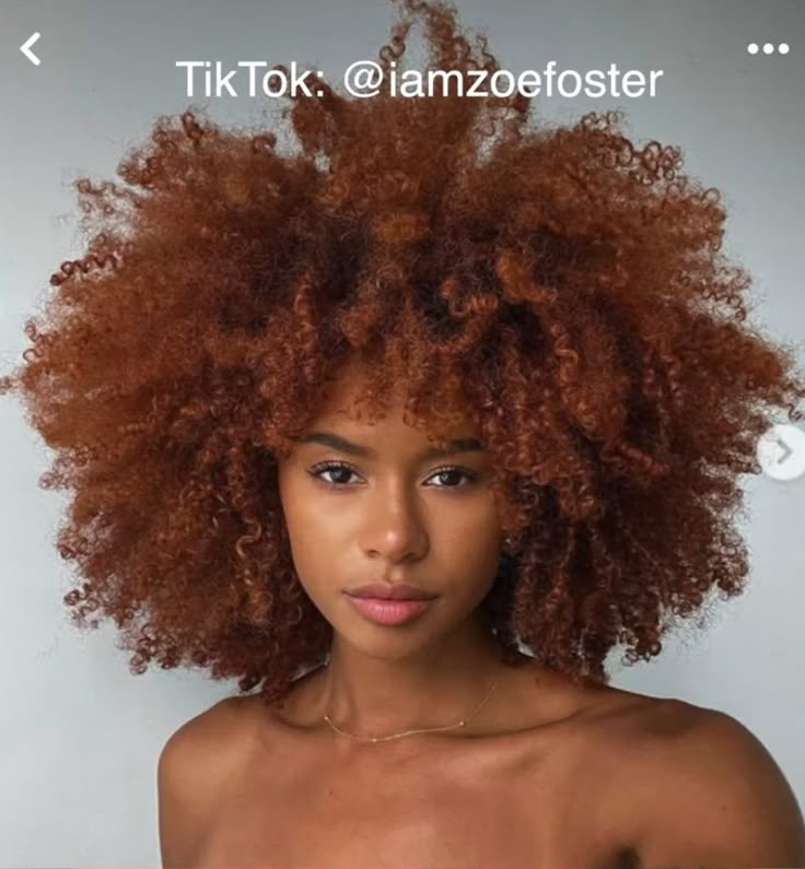 Dark Ginger Hair, Cheveux Oranges, Cabello Afro Natural, Dyed Curly Hair, Honey Brown Hair, Ginger Hair Color, Colored Curly Hair, Dyed Hair Inspiration, Dyed Natural Hair