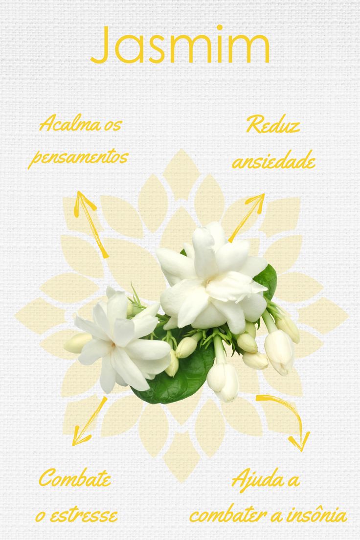 a white flower with the words jasmim in spanish and english on it's side